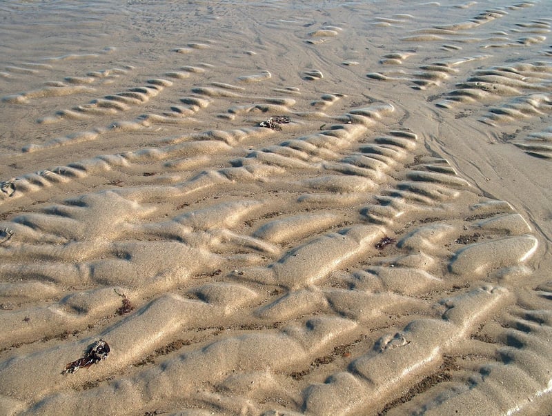 TrustyTravel Location in Netherlands